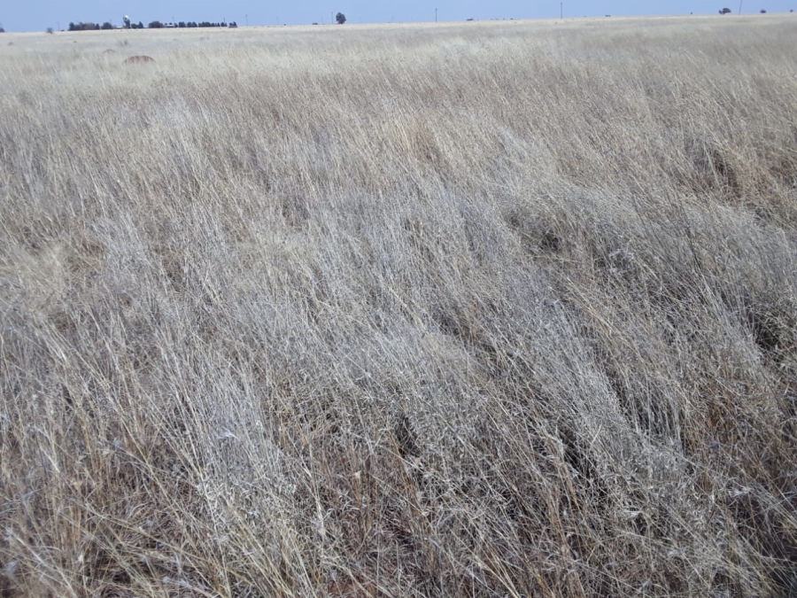 Commercial Property for Sale in Bloemhof Rural North West